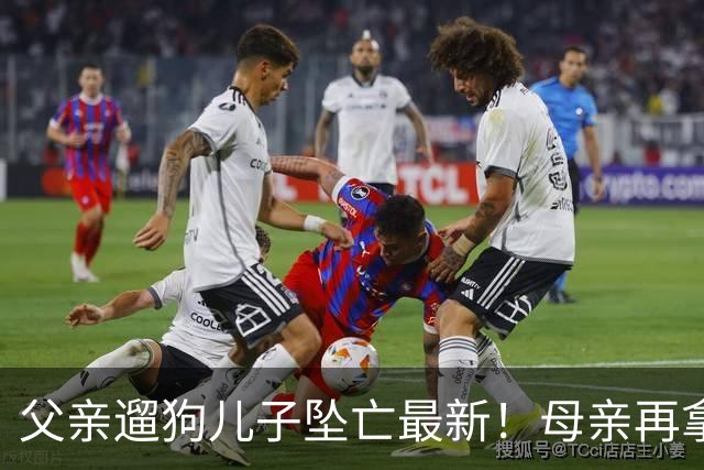父亲遛狗儿子坠亡最新！母亲再拿铁证，窗户被动手脚，爷爷更可疑