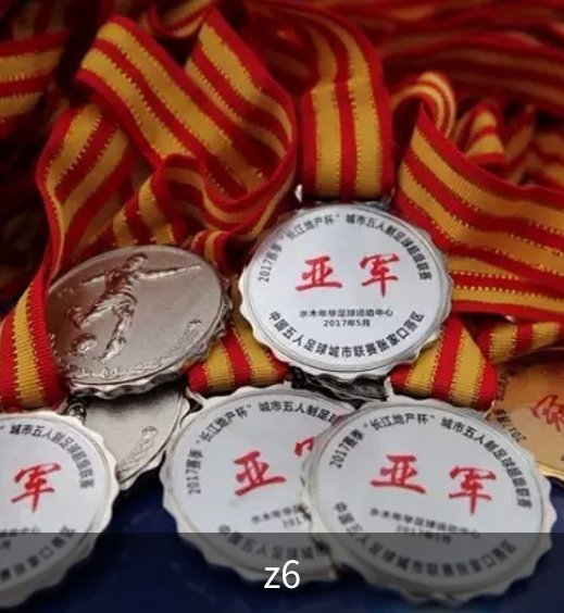 走进z6
